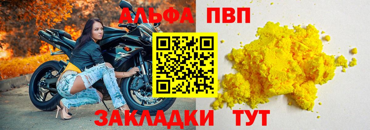 Alfa_PVP СК КРИС Губкинский