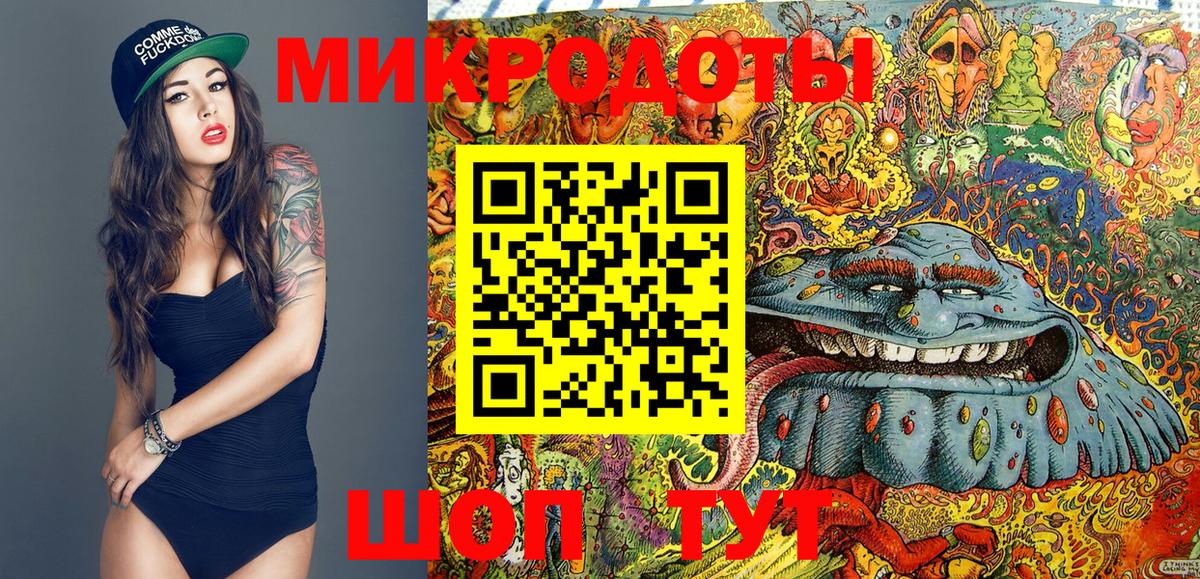 Губкинский  Псилоцибиновые грибы прущие грибы  Вход с VPN 